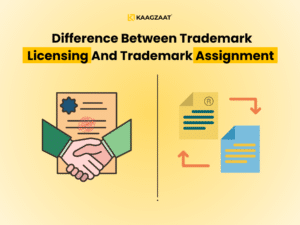 Difference between Assignment and License